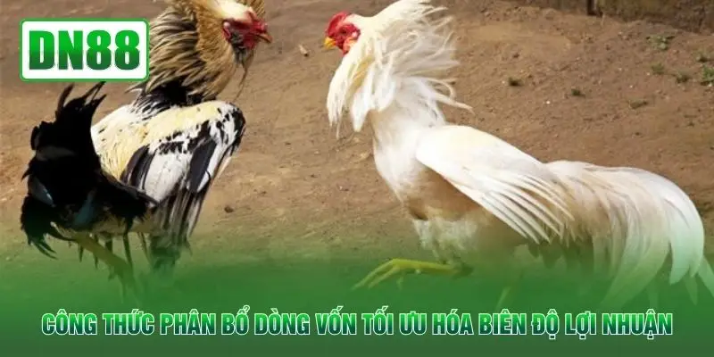 Công thức phân bổ dòng vốn tối ưu hóa biên độ lợi nhuận