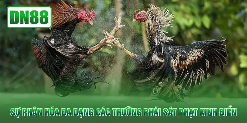 Sự phân hóa đa dạng các trường phái sát phạt kinh điển